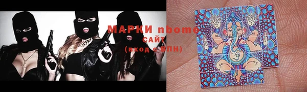 трава Инта