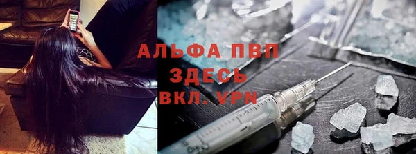 трава Инта