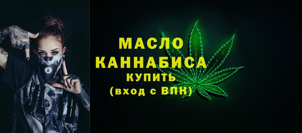 МДПВ Инсар
