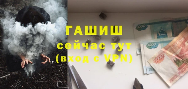 МДПВ Инсар