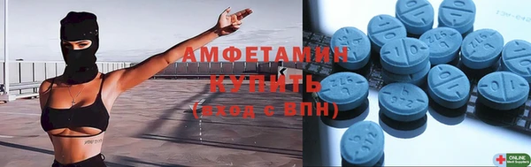 трава Инта