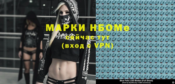 МДПВ Инсар
