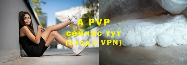 трава Инта
