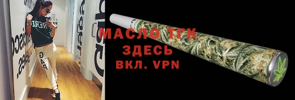 МДПВ Инсар