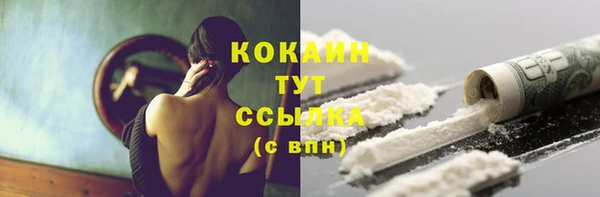 МДПВ Инсар