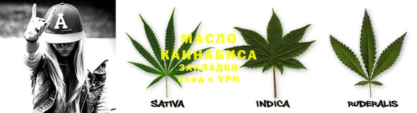 трава Инта