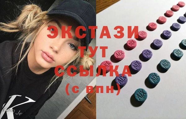 МДПВ Инсар