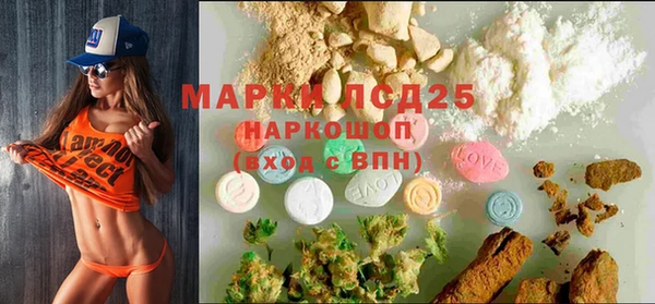 МДПВ Инсар