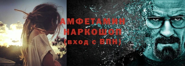трава Инта
