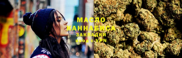 МДПВ Инсар