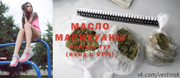 МДПВ Инсар