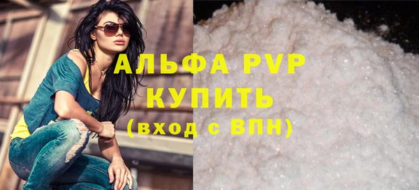 МДПВ Инсар