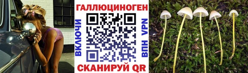 Галлюциногенные грибы прущие грибы  Купить  Кольчугино 
